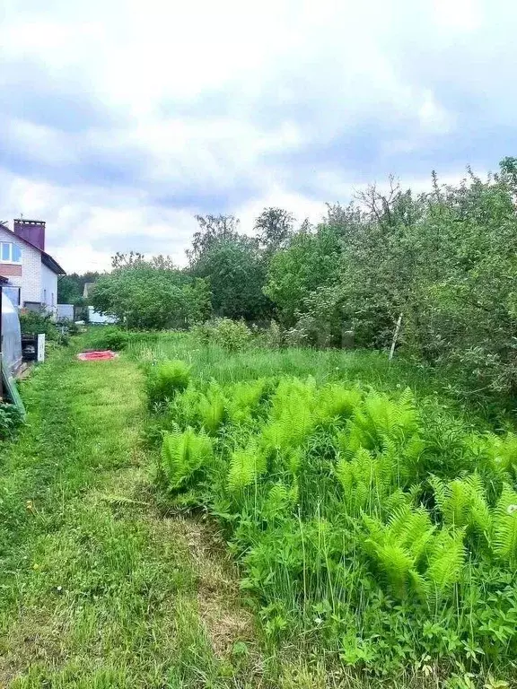 Участок в Костромская область, Кострома Заря Коммунизма садоводческое ... - Фото 1