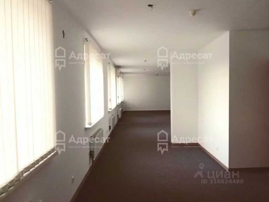 Студия Волгоградская область, Волгоград ул. Имени 64-й Армии, 135А ... - Фото 1