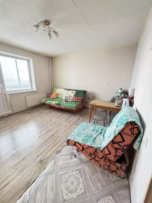 Студия Курганская область, Курган ул. 2-я Часовая, 54А (24.4 м) - Фото 1