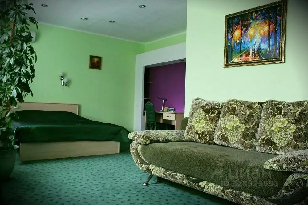 Комната Алтайский край, Барнаул ул. Профинтерна, 4 (30.0 м) - Фото 2