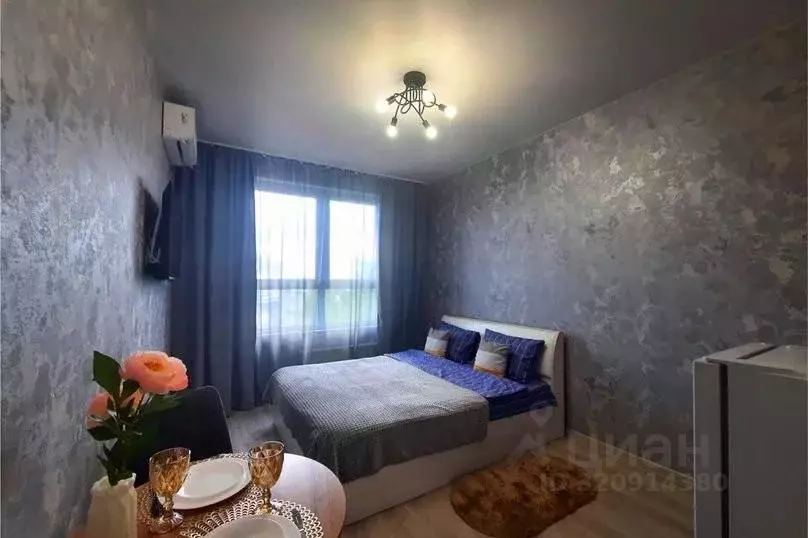 1-к кв. Московская область, Люберцы Шоссейная ул., 42 (22.0 м) - Фото 2