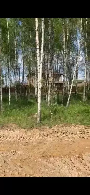 Участок в Московская область, Чехов муниципальный округ, с. Дубна  ... - Фото 1