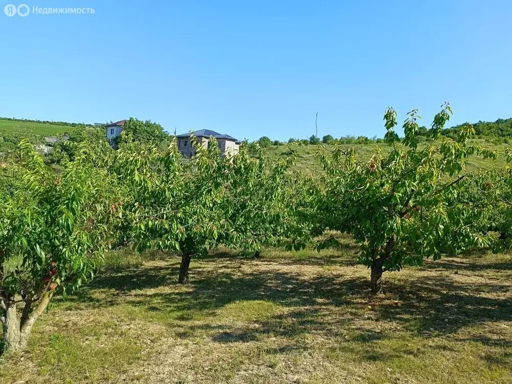 Участок в Гай-Кодзор, Садовая улица, 4 (14 м) - Фото 1