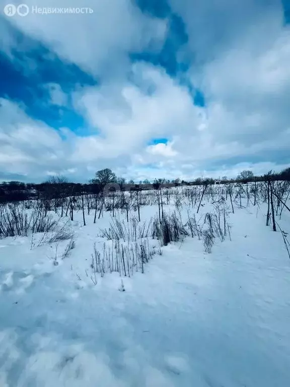 Участок в Тульская область, муниципальное образование Новомосковск, ... - Фото 1