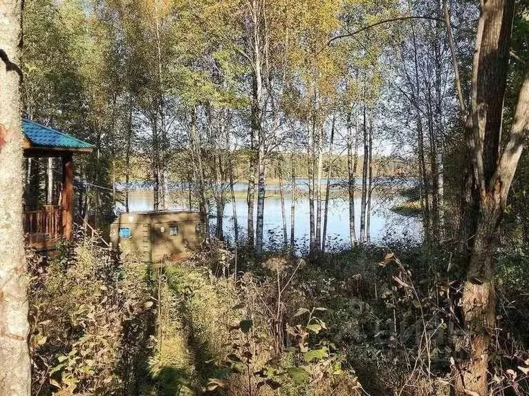 Участок в Новгородская область, Любытинское с/пос, д. Красная Гора 4Д ... - Фото 1