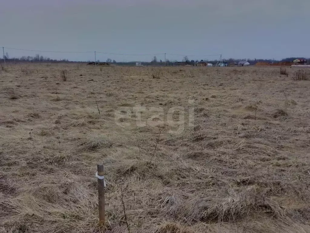 Участок в Псковская область, Псковский муниципальный округ, ... - Фото 1