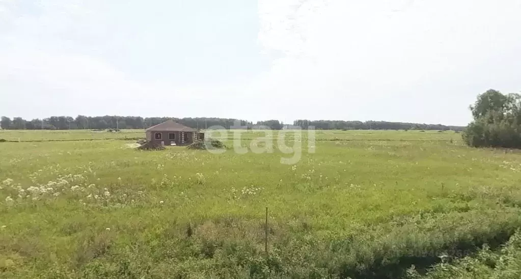 Участок в Тюменская область, Тюменский район, Новокаменский кп  (10.0 ... - Фото 1