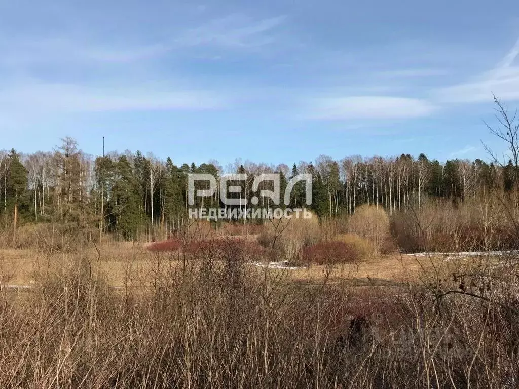 Участок в Санкт-Петербург пос. Тярлево, Парковая ул., 5 (13.0 сот.) - Фото 0