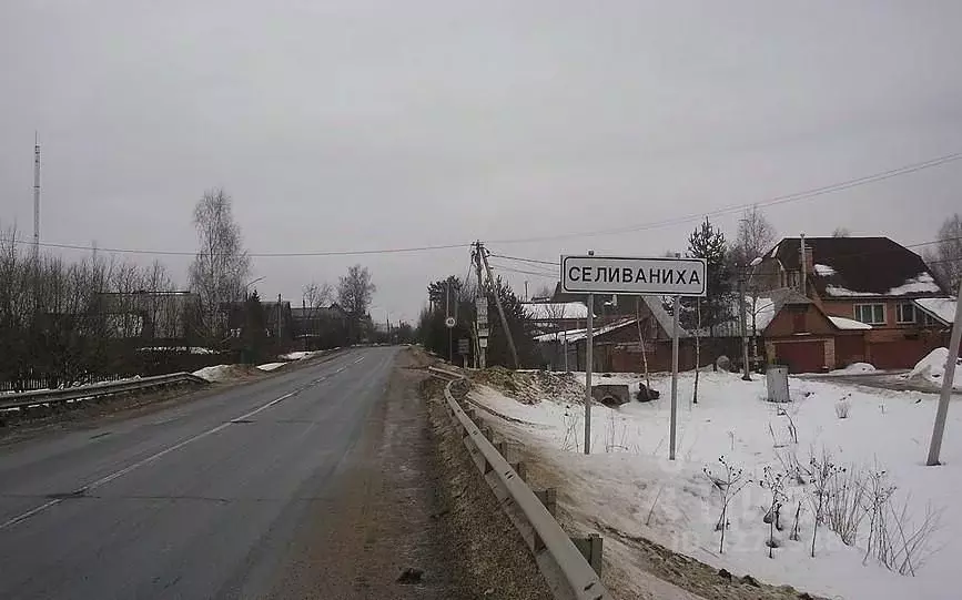 Участок в Московская область, Истра муниципальный округ, д. Селиваниха ... - Фото 1