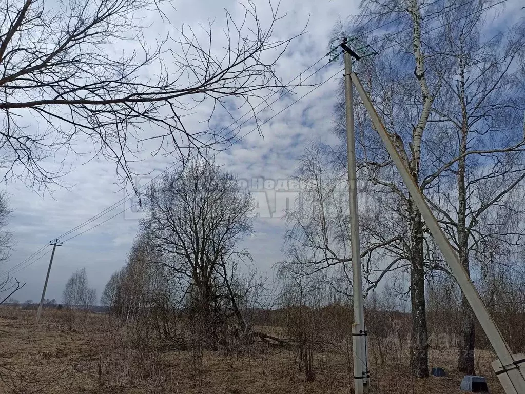 Участок в Смоленская область, Смоленский муниципальный округ, д. ... - Фото 2