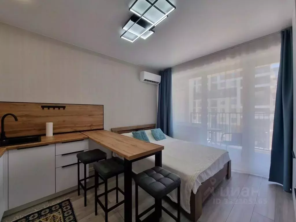 1-к кв. Краснодарский край, Сочи городской округ, Дагомыс пгт ул. ... - Фото 1