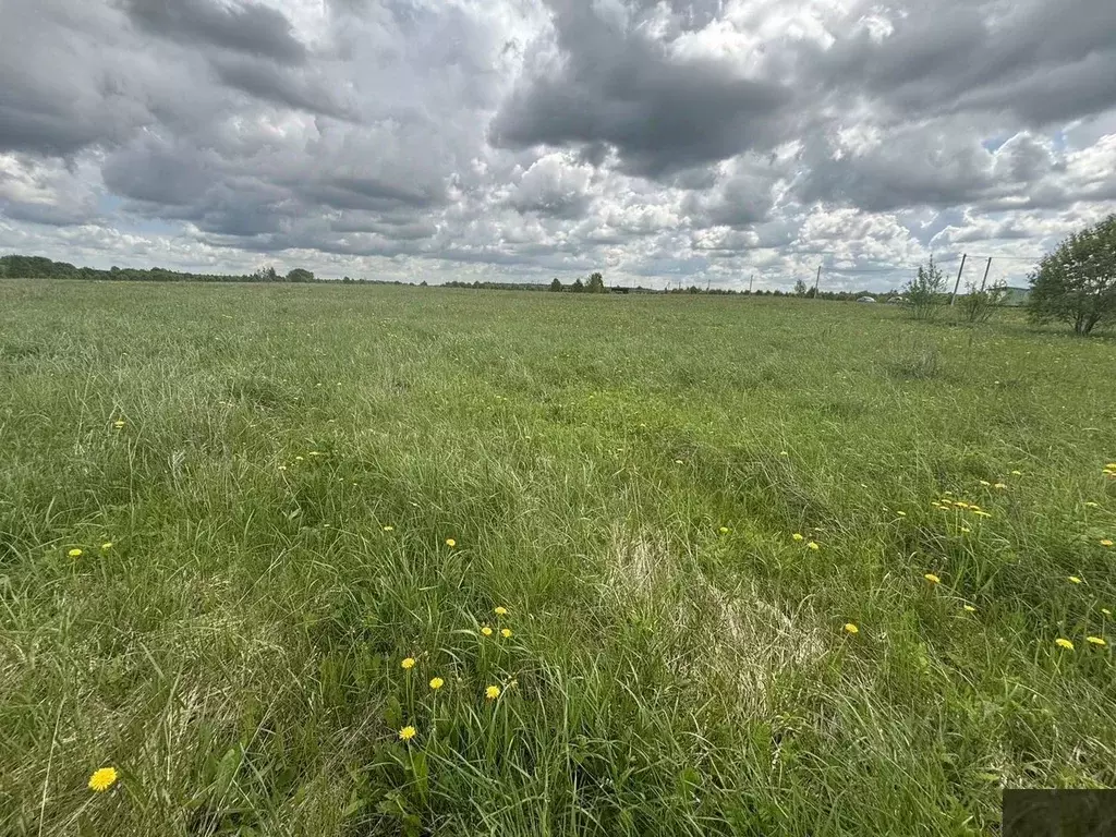 Участок в Ленинградская область, Ломоносовский район, Лопухинское ... - Фото 1