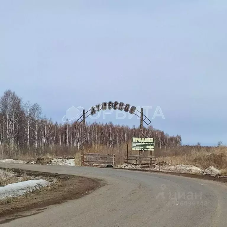 Участок в Тюменская область, Нижнетавдинский муниципальный округ, ... - Фото 1