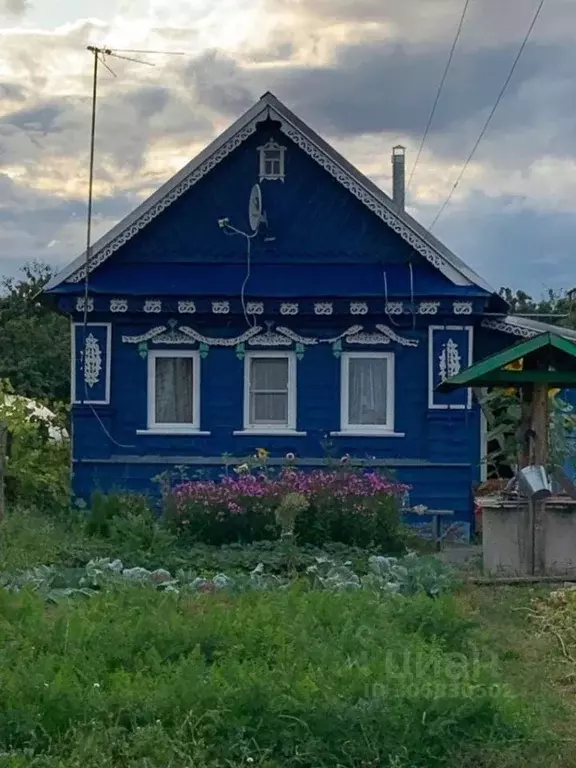 Дом в Нижегородская область, Лукояновский муниципальный округ, с. ... - Фото 0