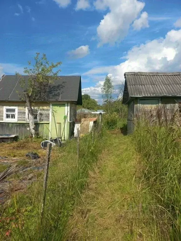 Участок в Ленинградская область, Сланцы Дружба СНТ,  (5.0 сот.) - Фото 1