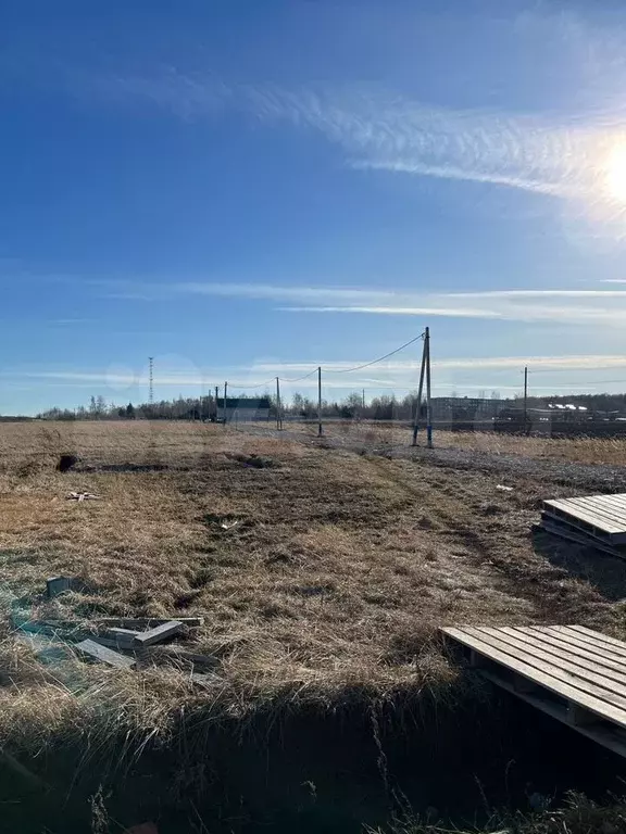Участок 6 сот. (СНТ, ДНП) - Фото 0