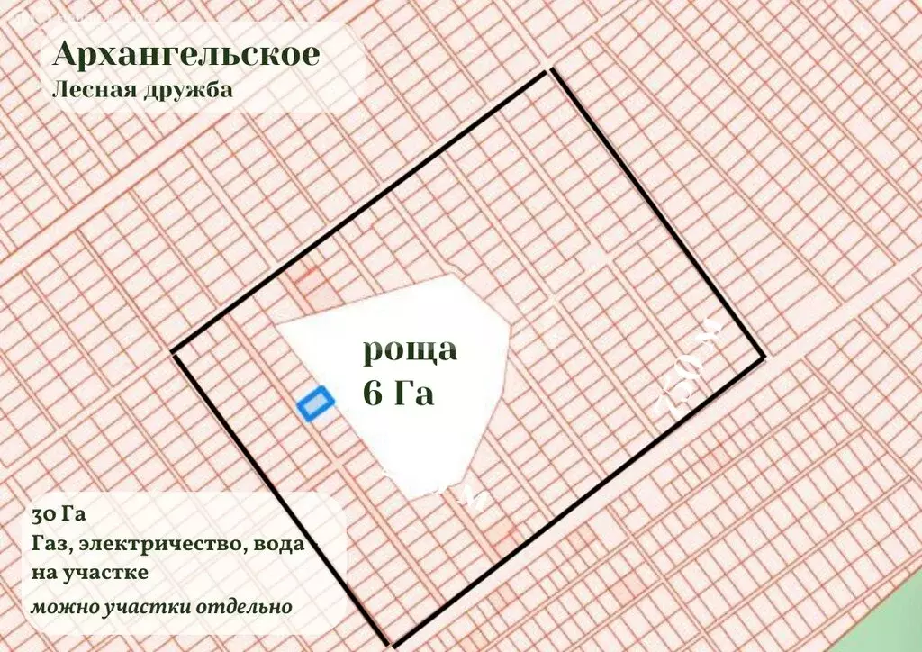 Участок в село Архангельское, микрорайон Зенит (3000 м) - Фото 1