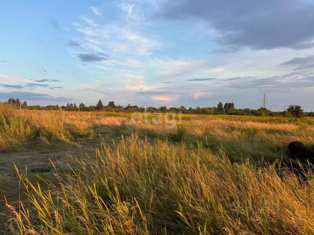 Участок в Алтайский край, Бийск ул. Антона Скалона, 116 (14.6 сот.) - Фото 0