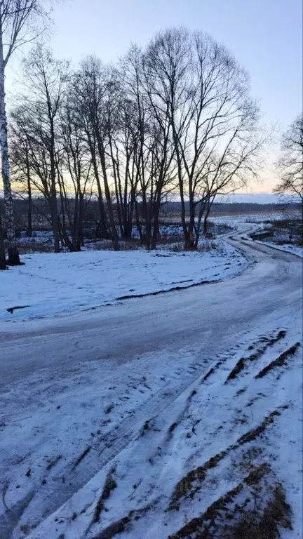 Участок в Московская область, Ступино городской округ, д. Хирино ул. ... - Фото 1