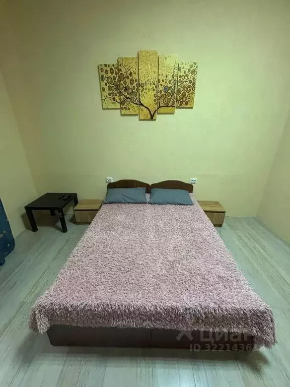 Комната Свердловская область, Нижний Тагил ул. Грибоедова, 44 (20.0 м) - Фото 1