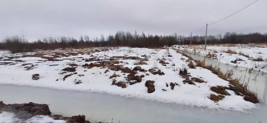 Участок в Вологодская область, Шекснинский район, д. Нифантово  (12.1 ... - Фото 0