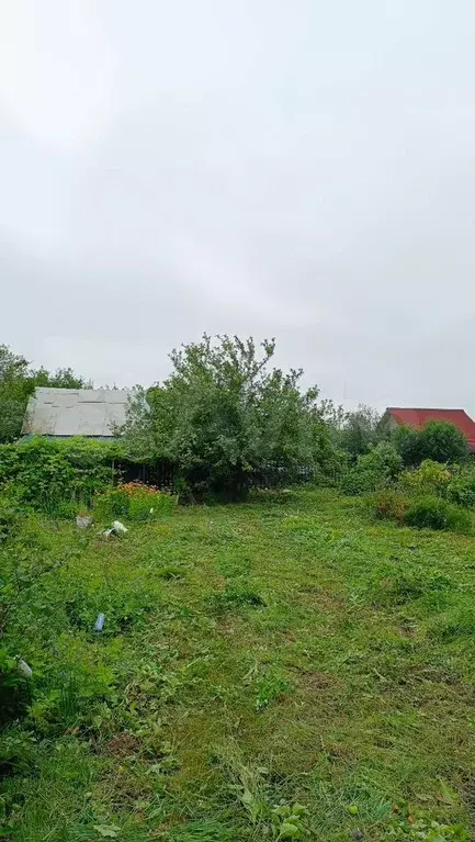 Участок 8,7 сот. (СНТ, ДНП) - Фото 0