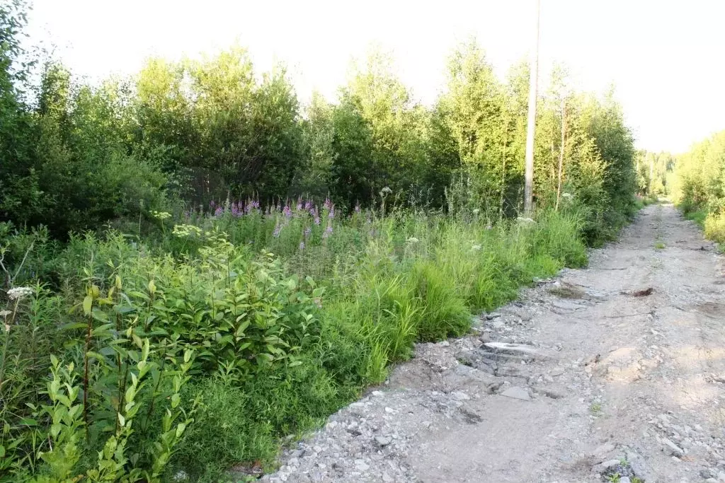 Дом 75 м на участке 16 сот. - Фото 0