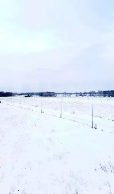 Участок в Тюменская область, Тюменский район, Новокаменский кп  (11.46 ... - Фото 2