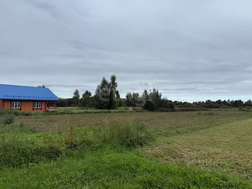 Участок в Костромская область, пос. Антропово  (13.56 сот.) - Фото 1