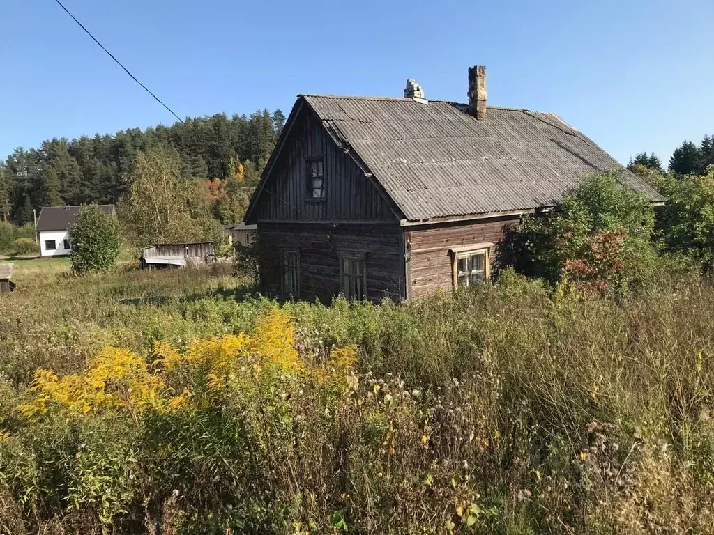 Участок в Карелия, Лахденпохский муниципальный округ, пос. Куркиеки ... - Фото 1