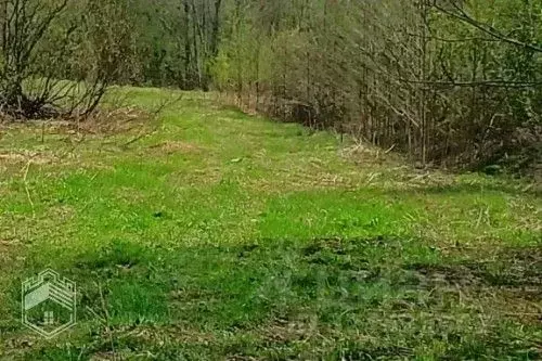 Участок в Новгородская область, Новгородский район, Савинское с/пос, ... - Фото 2