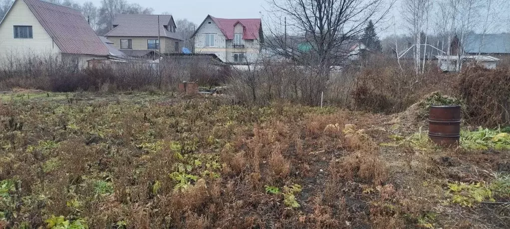 Участок в Новосибирская область, Новосибирский район, Мичуринский ... - Фото 1