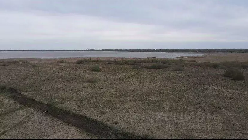 Участок в Челябинская область, Каслинский район, Григорьевское с/пос, ... - Фото 1