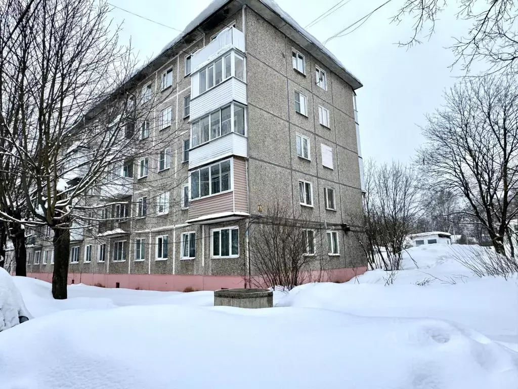3-к кв. Владимирская область, Киржач ул. 40 лет Октября, 40 (58.4 м) - Фото 1