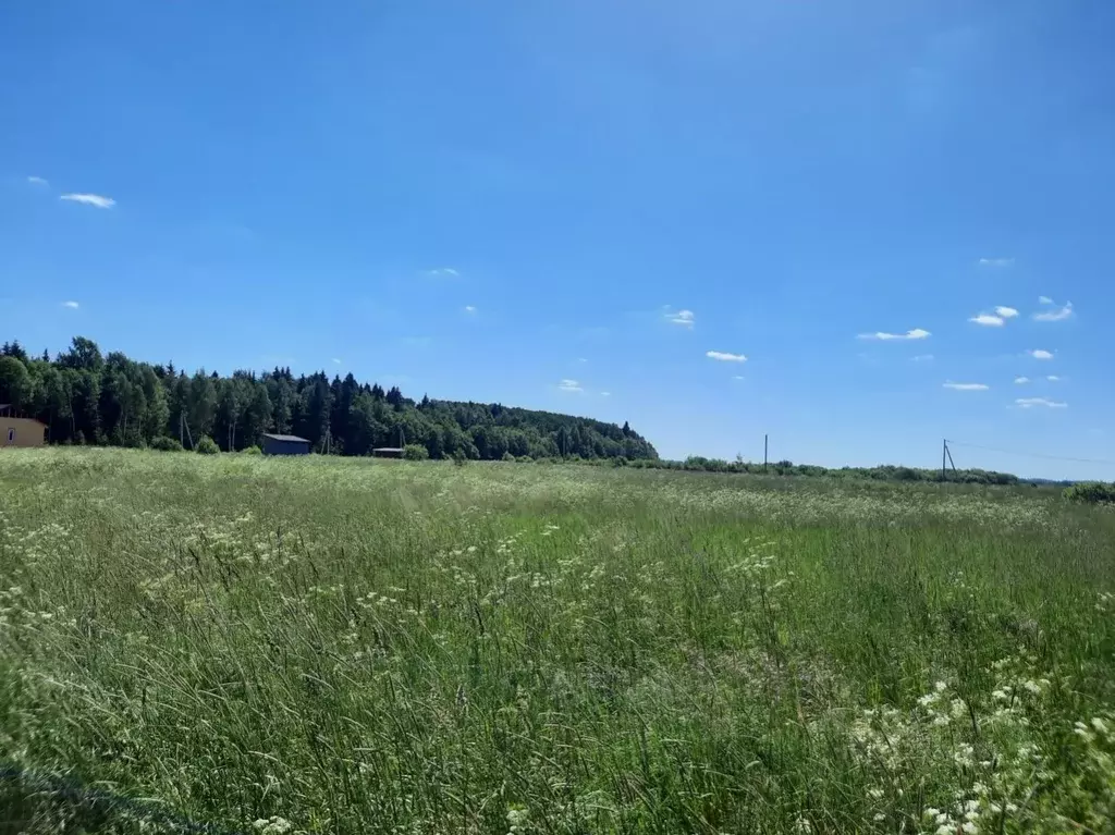 Участок в Ярославская область, Ярославский район, Кузнечихинское ... - Фото 0