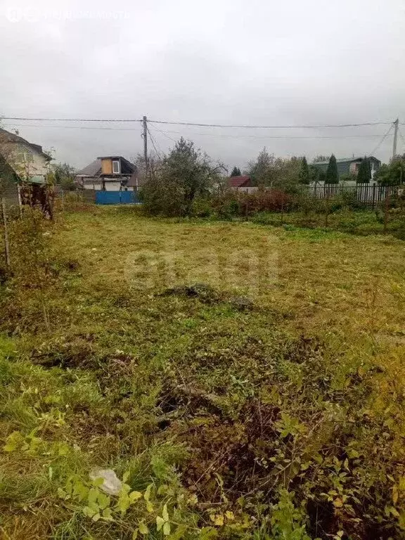 Участок в Ярославский муниципальный округ, садоводческое ... - Фото 2