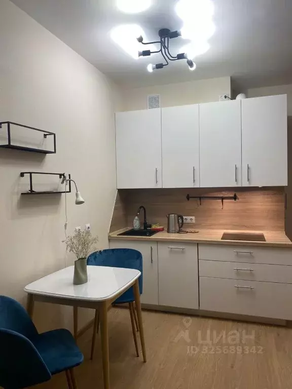 Студия Санкт-Петербург 5-й Предпортовый проезд, 2 (31.0 м) - Фото 2