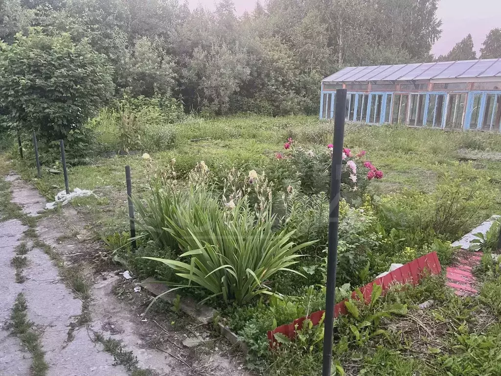 Участок 7,5 сот. (СНТ, ДНП) - Фото 0