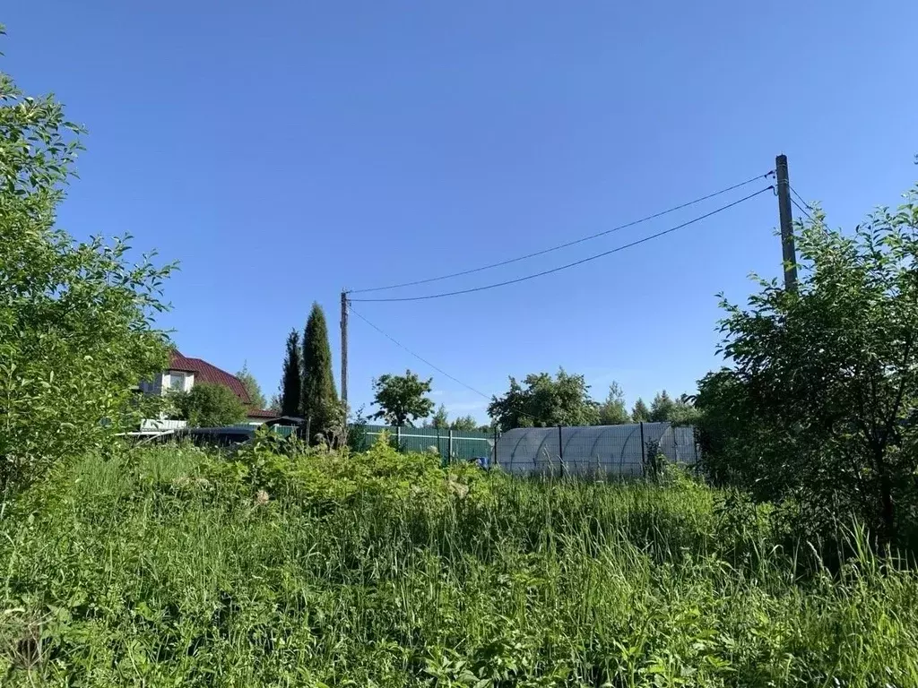 Участок в Калужская область, Калуга городской округ, д. Переселенец  ... - Фото 2