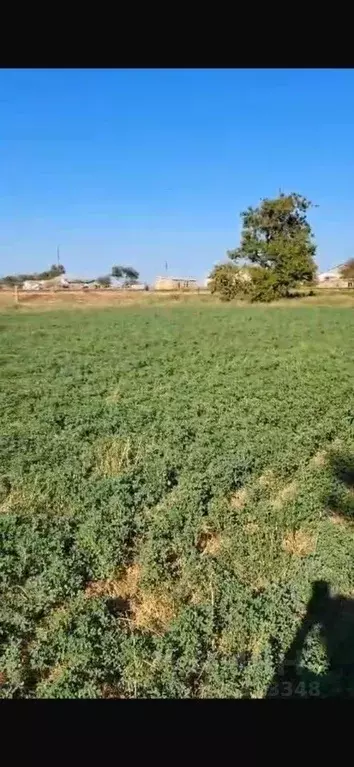 Участок в Крым, Красногвардейский район, с. Ленинское ул. Садовая, 2 ... - Фото 1