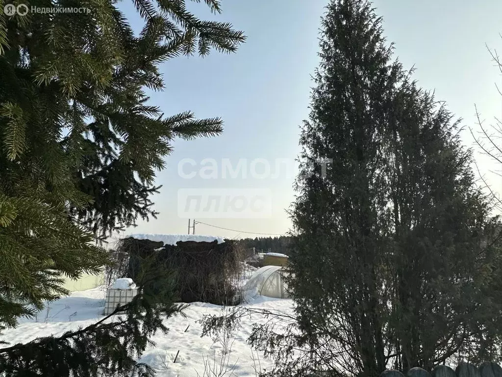 Участок в Королёв, улица Пограничников, 95 (6.2 м) - Фото 1