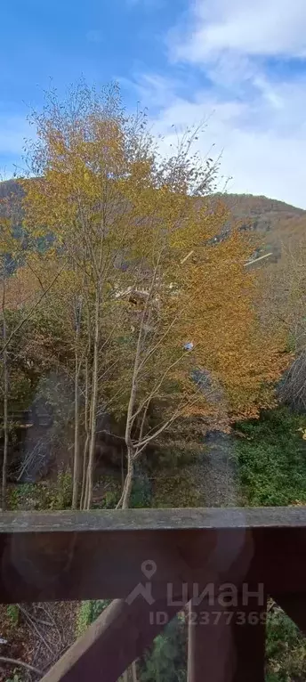 Свободной планировки кв. Краснодарский край, Сочи Красная Поляна пгт, ... - Фото 0