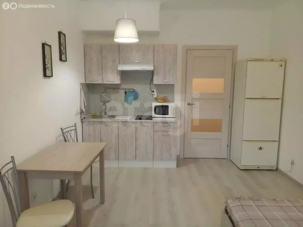 Квартира-студия: Санкт-Петербург, Торфяная дорога, 15к3 (22 м) - Фото 1