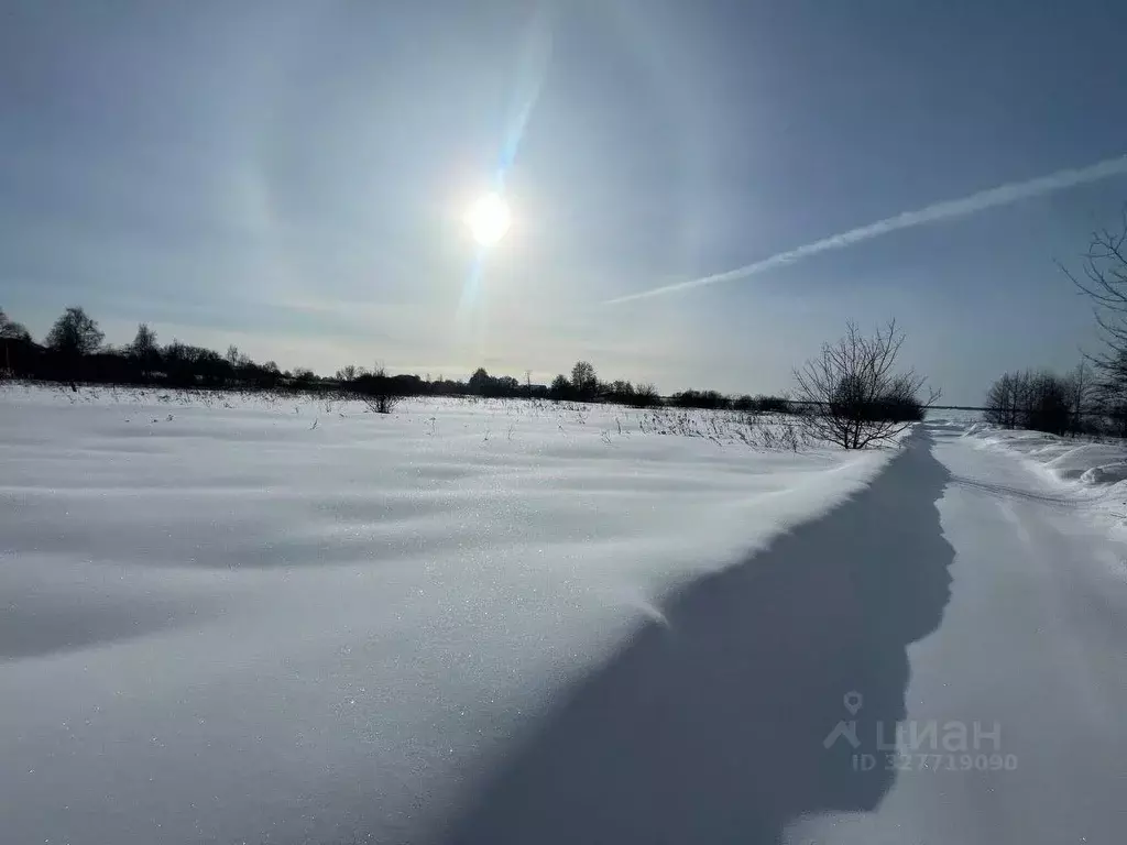 Участок в Московская область, Ступино городской округ, с. Васильевское ... - Фото 1