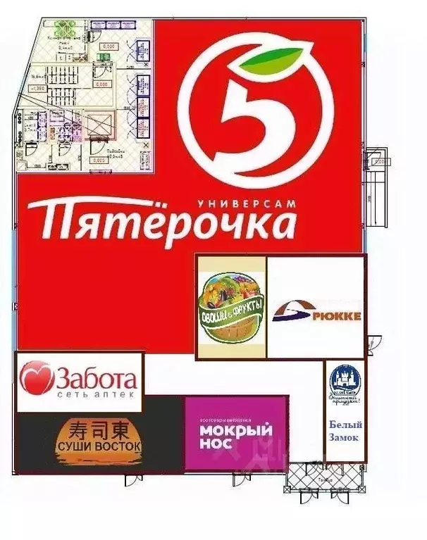 Торговая площадь в Новосибирская область, Новосибирск ул. Шевченко, ... - Фото 2