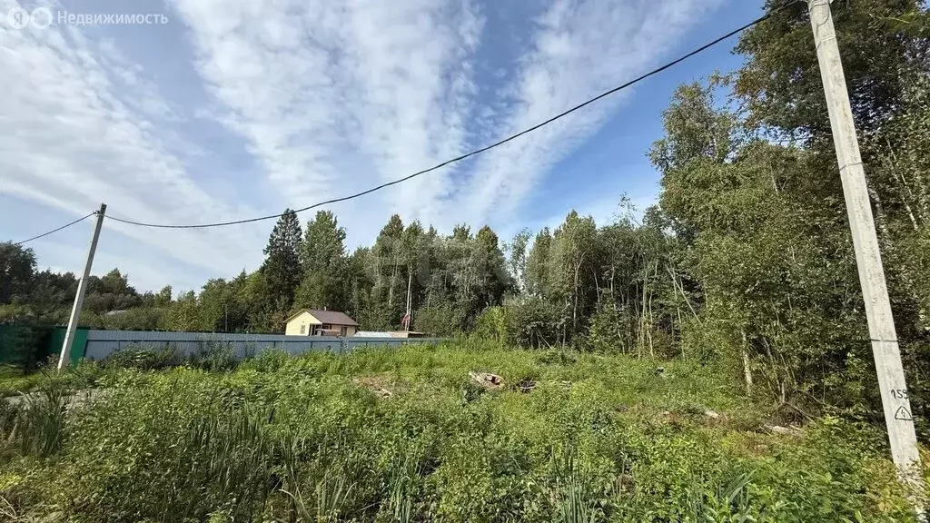 Участок в Череповец, Никольская улица (8.04 м) - Фото 2