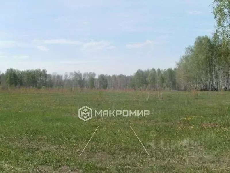 Участок в Челябинская область, Красноармейский район, Озерное с/пос, ... - Фото 0