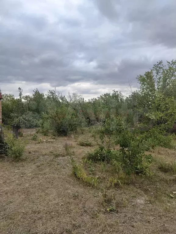 Участок 6,5 сот. (СНТ, ДНП) - Фото 0