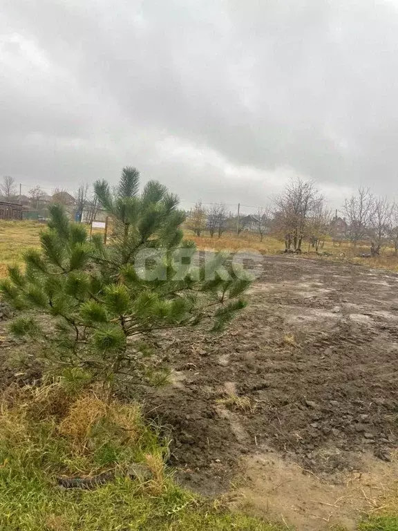 Участок, 5.5 сот., поселения (ижс) - Фото 0
