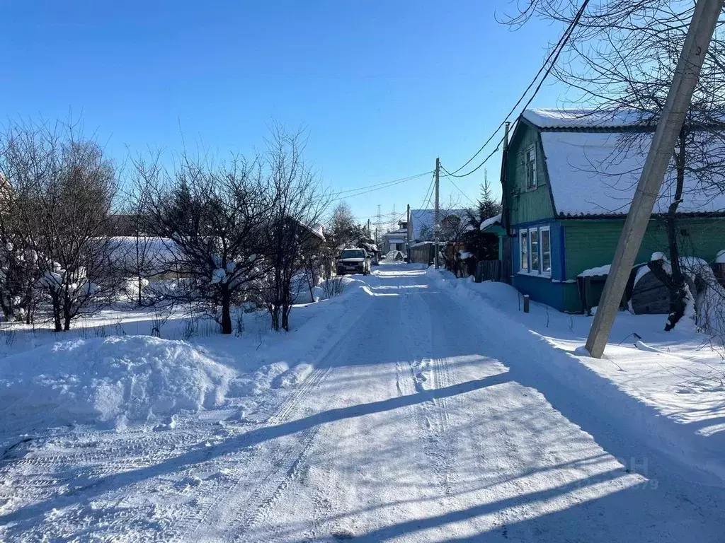 Участок в Санкт-Петербург Педиатр СНТ, 4-я линия (609.0 сот.) - Фото 2